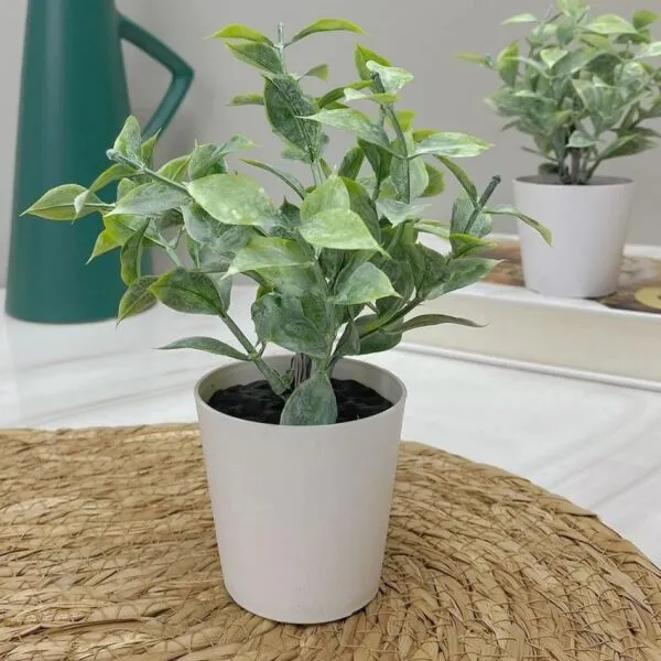 مركن زرع جيرو مقاس صغير - اخضر وابيض