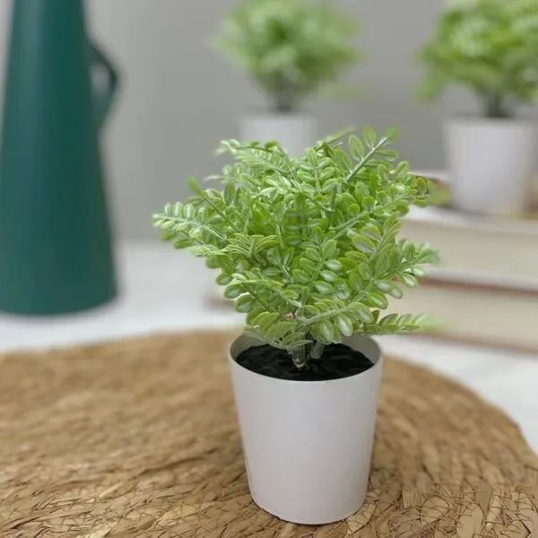مركن زرع كارولا مقاس صغير - اخضر فاتح وابيض