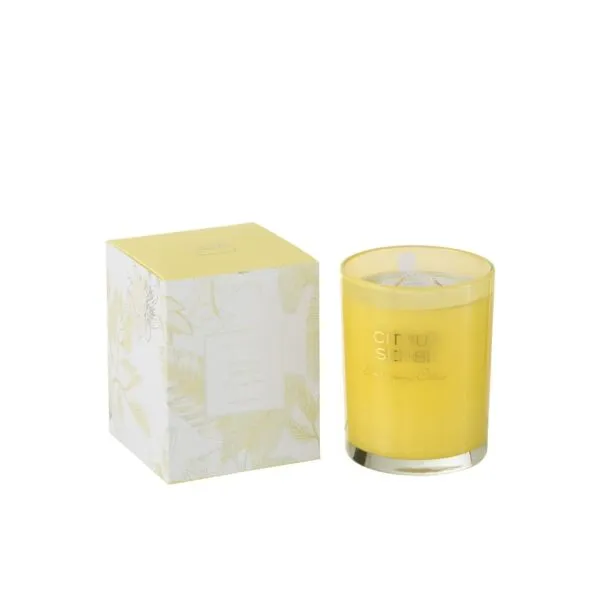 شمعة معطرة حجم كبير - تيمور