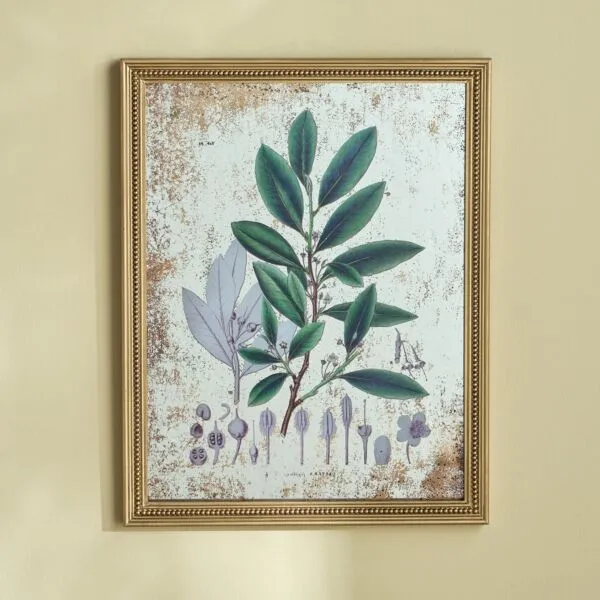 لوحة جدارية كانفاس مؤطرة - رينا - 45x57 سم