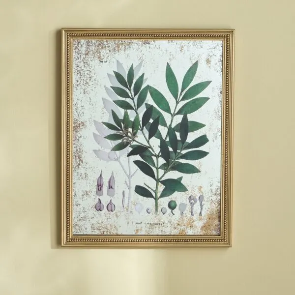 لوحة جدارية كانفاس مؤطرة - يوري - 45x57 سم