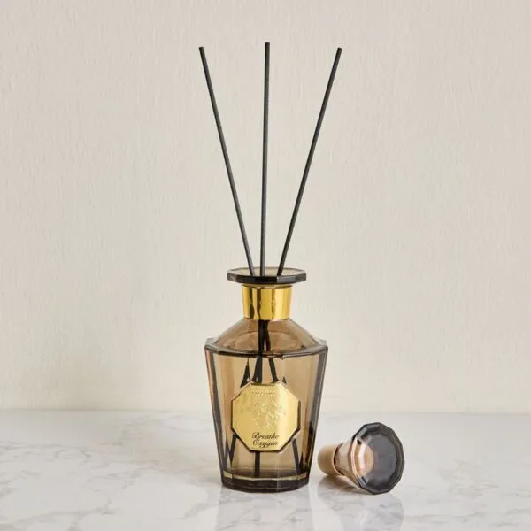 موزع عطور بريث أوكسيجن - أورينتال - 230 مل