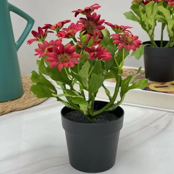 مركن ورد احمر