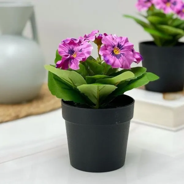مركن ورد فوشي