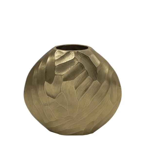فازة هامرد