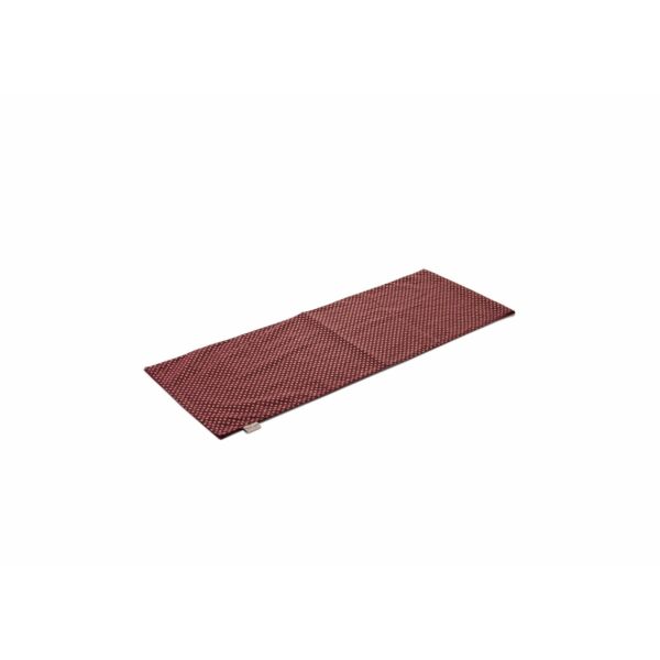baytonia_main product photo
