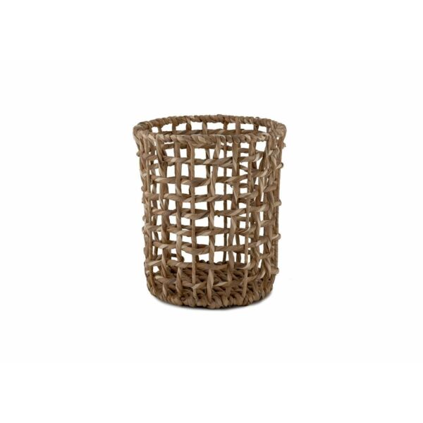 baytonia_main product photo