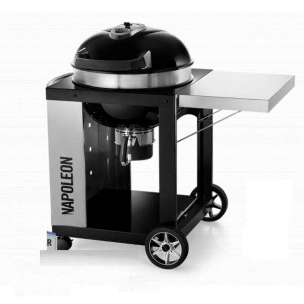 baytonia_main product photo