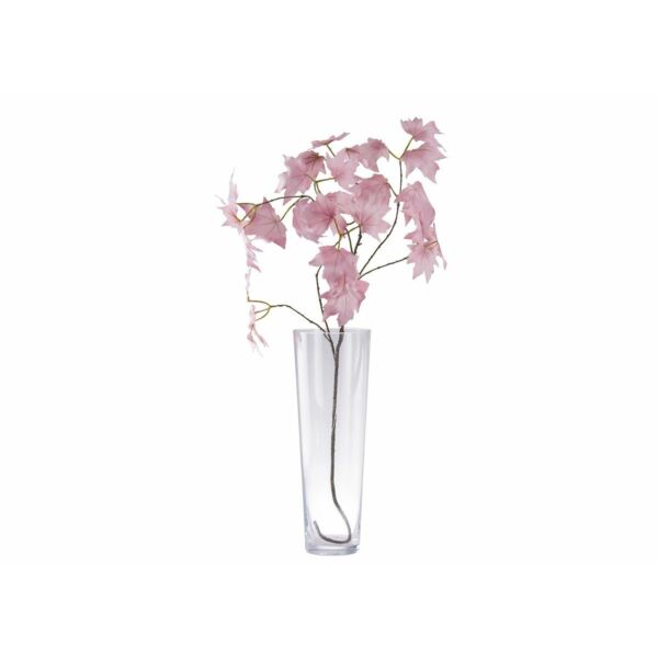 baytonia_main product photo