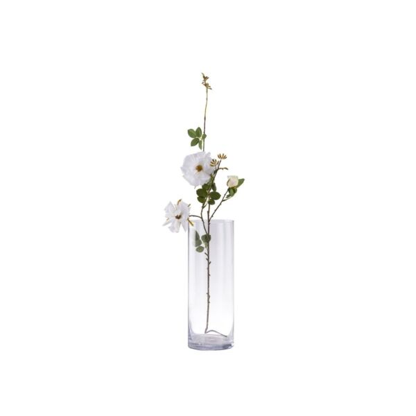 baytonia_main product photo