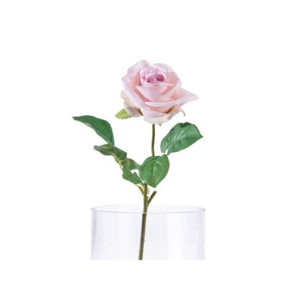 baytonia_main product photo