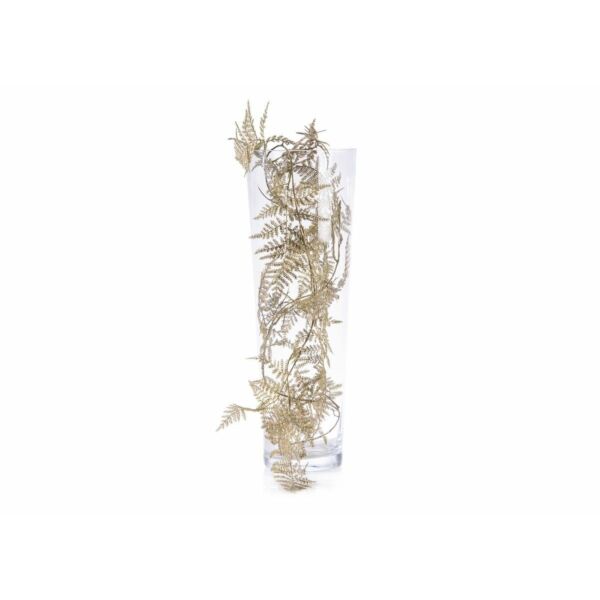 baytonia_main product photo