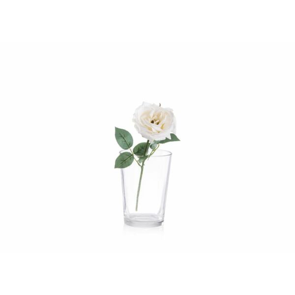 baytonia_main product photo