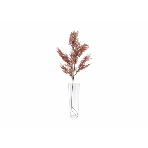 baytonia_main product photo