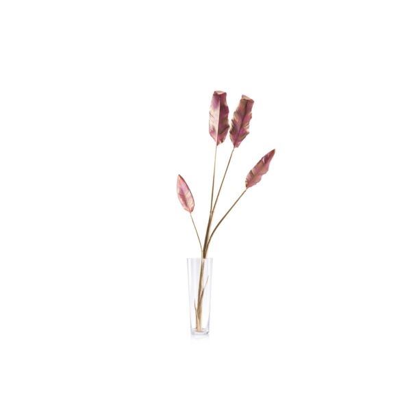 baytonia_main product photo