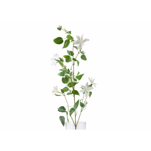 baytonia_main product photo