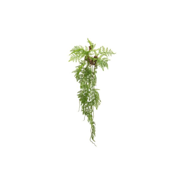baytonia_main product photo