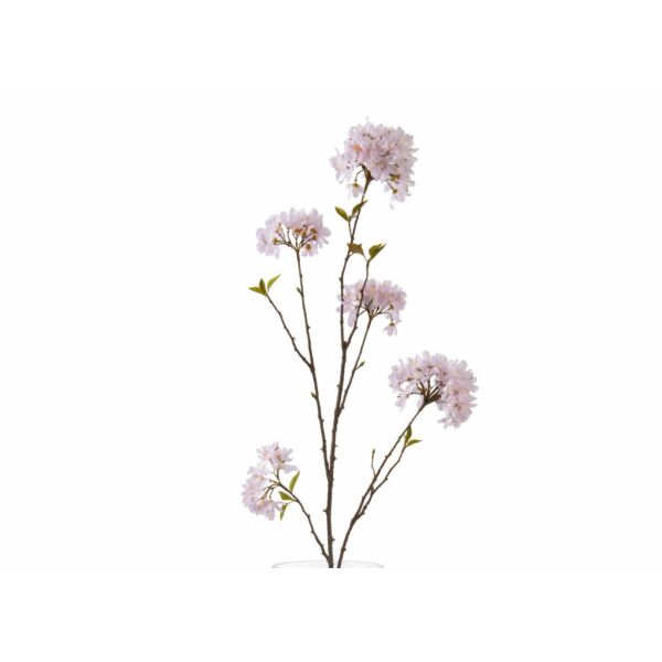 baytonia_main product photo