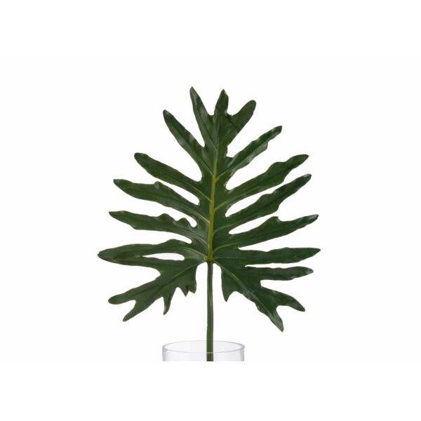 baytonia_main product photo