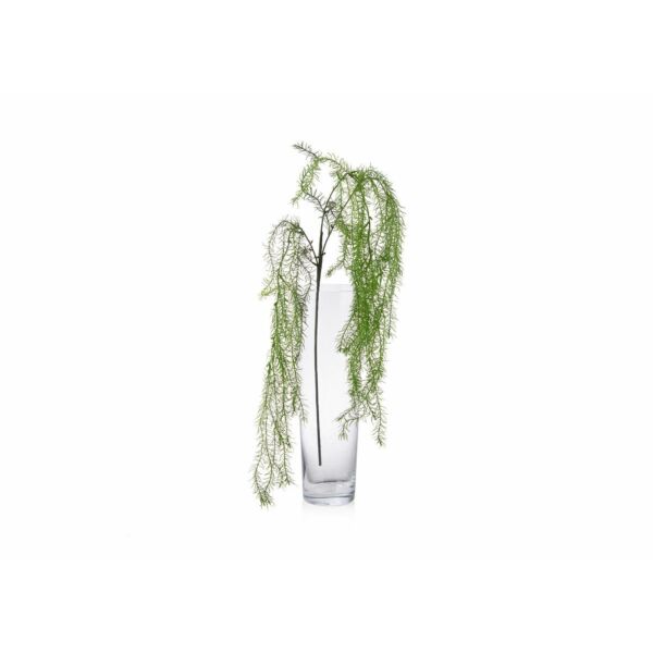 baytonia_main product photo