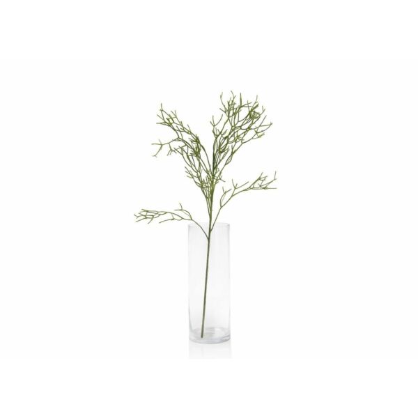 baytonia_main product photo
