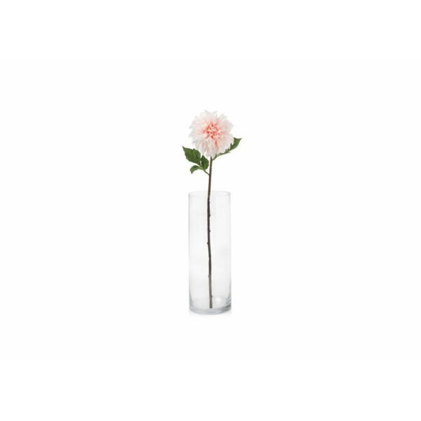 baytonia_main product photo