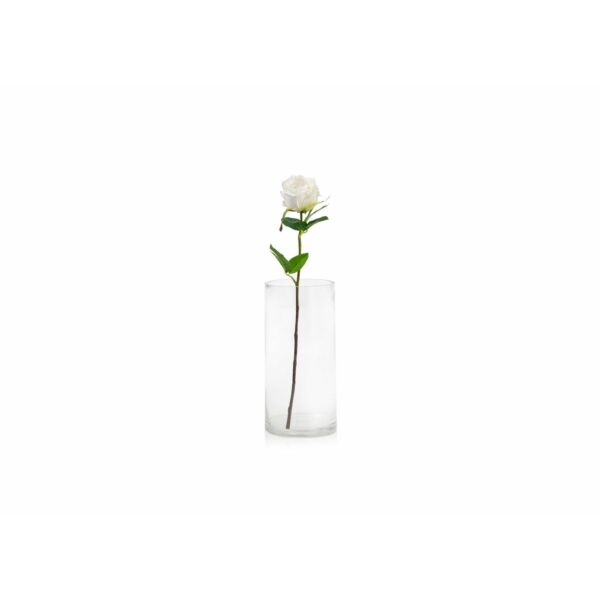 baytonia_main product photo