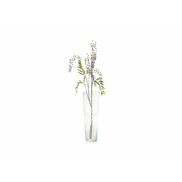 baytonia_main product photo