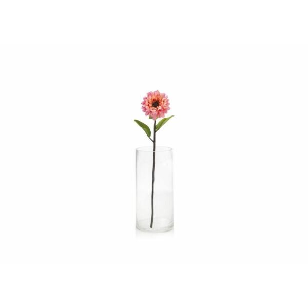 baytonia_main product photo