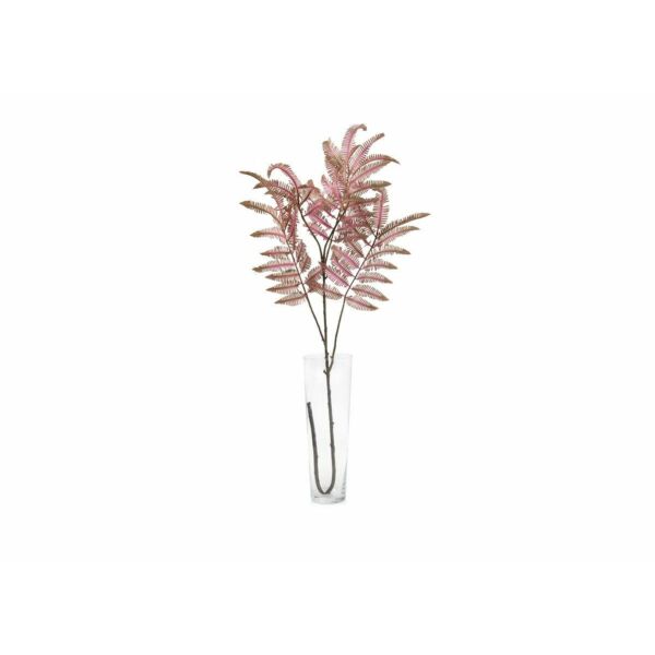 baytonia_main product photo
