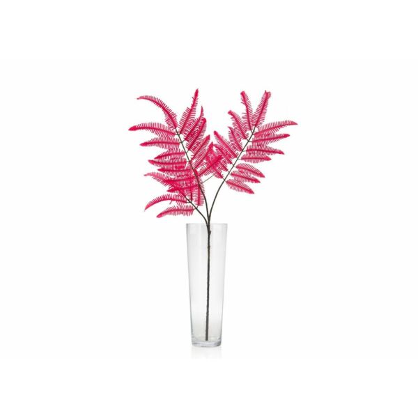 baytonia_main product photo