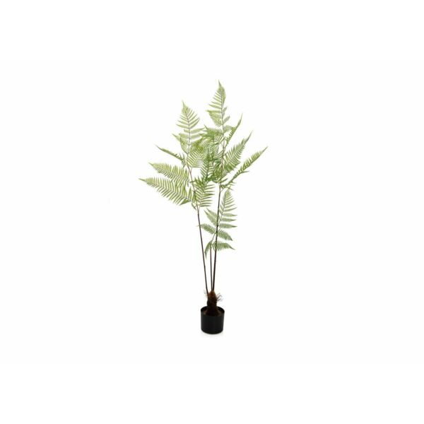 baytonia_main product photo