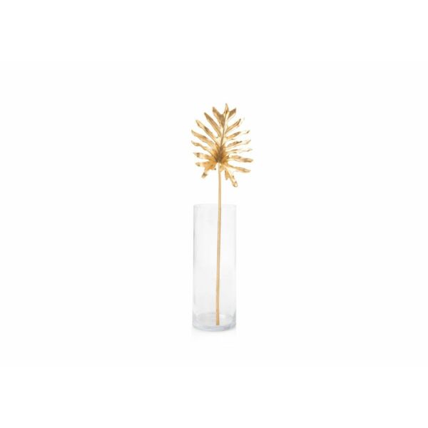 baytonia_main product photo