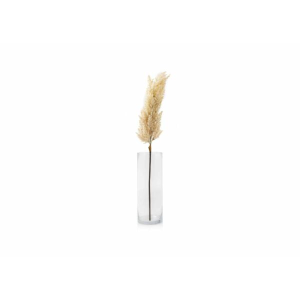 baytonia_main product photo