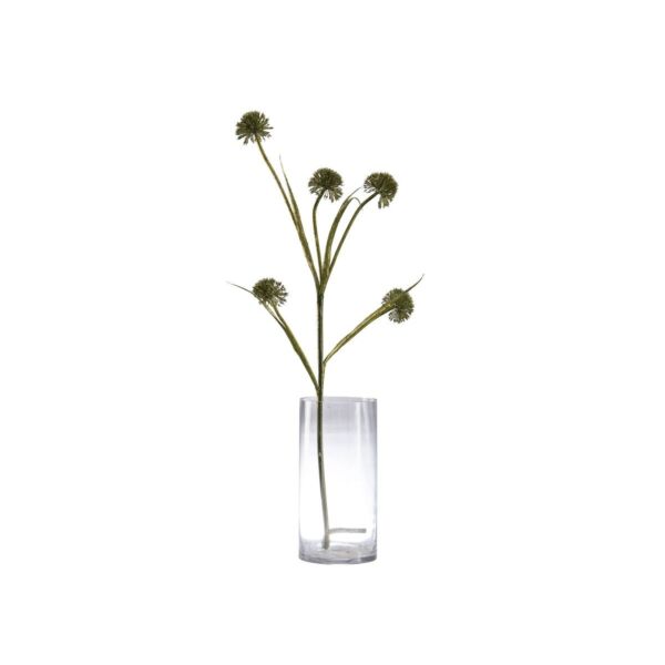 baytonia_main product photo