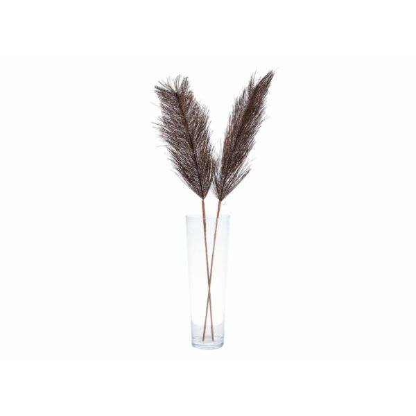 baytonia_main product photo