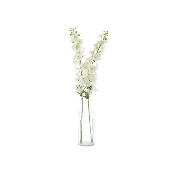 baytonia_main product photo