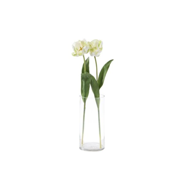 baytonia_main product photo