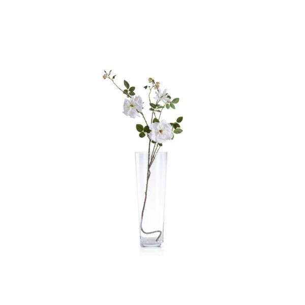 baytonia_main product photo