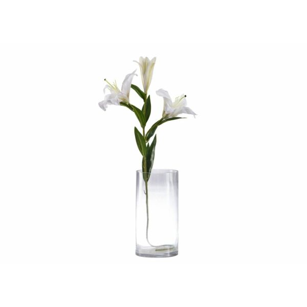 baytonia_main product photo