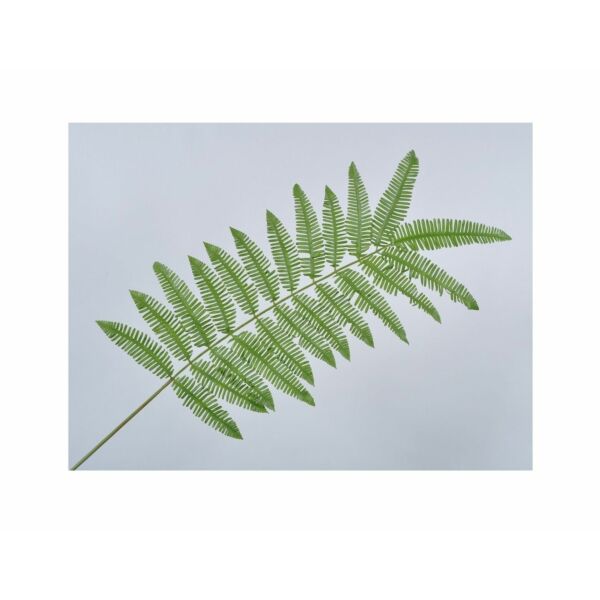 baytonia_main product photo