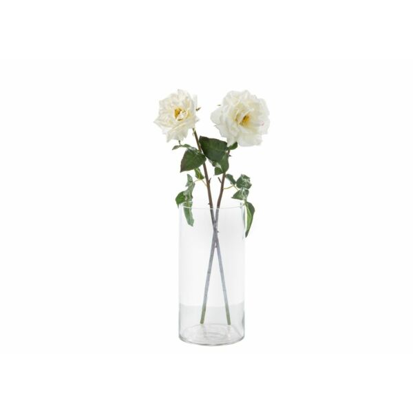 baytonia_main product photo