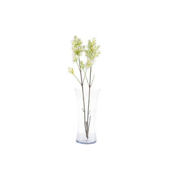 baytonia_main product photo