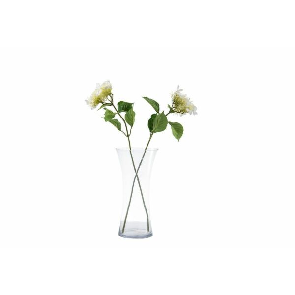 baytonia_main product photo