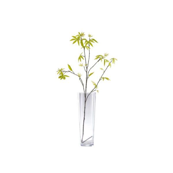 baytonia_main product photo