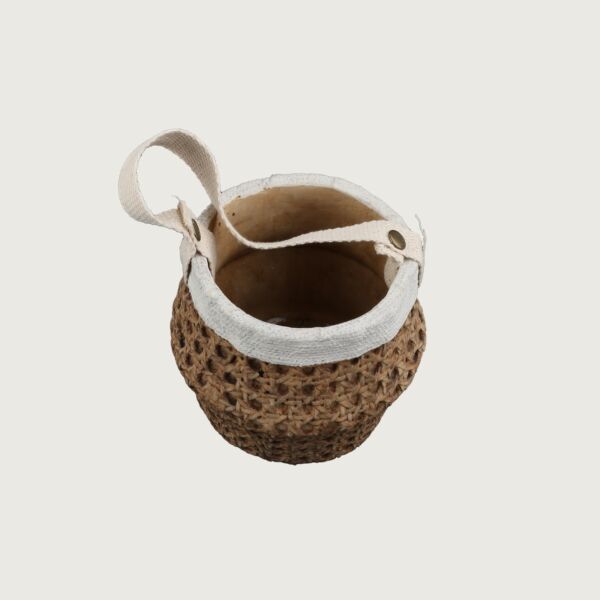baytonia_main product photo