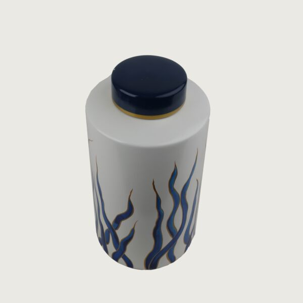 baytonia_main product photo