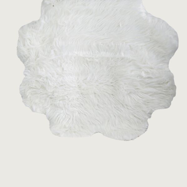 baytonia_main product photo
