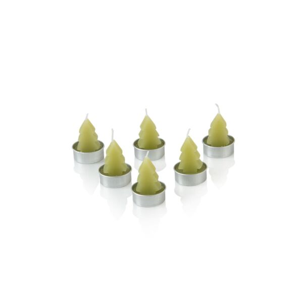 baytonia_main product photo