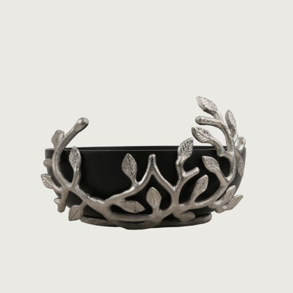 baytonia_main product photo